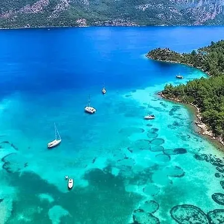 Διαμέρισμα Albatros